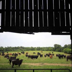 Data center builders thought farmers would willingly sell land, learn otherwise