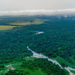 COVID-19 cleared the skies but also supercharged methane emissions