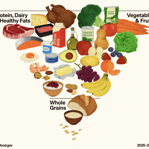 RFK Jr. food pyramid site links to Grok, which says you shouldn’t trust RFK Jr.