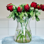 My Favorite Thoughtful Valentine’s Day Gifts (That Aren’t Flowers)