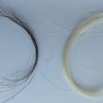 A century of hair samples proves leaded gas ban worked