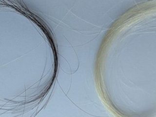 A century of hair samples proves leaded gas ban worked