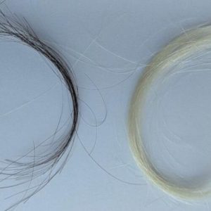 A century of hair samples proves leaded gas ban worked