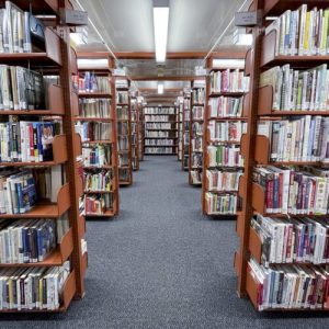 AIs can generate near-verbatim copies of novels from training data