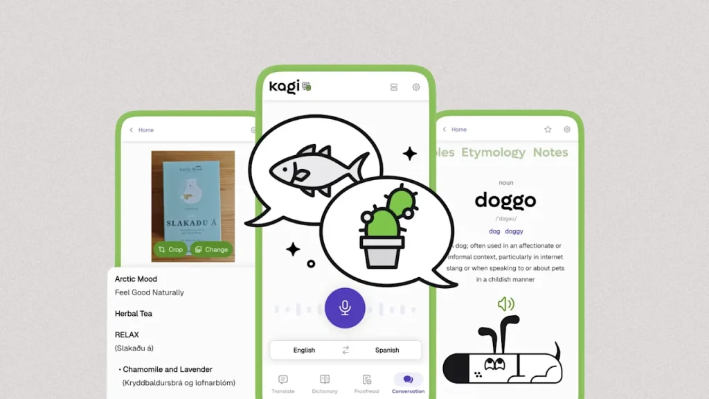 Kagi’s new app is like Google Translate—plus privacy