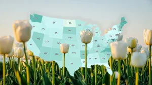 Housing market inventory power: Where states stand heading into spring