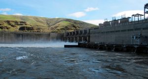Judge orders changes to Columbia and Snake river dam operations to help ‘disappearing’ salmon