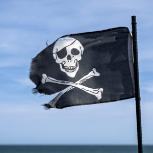 Authors' lucky break in court may help class action over Meta torrenting