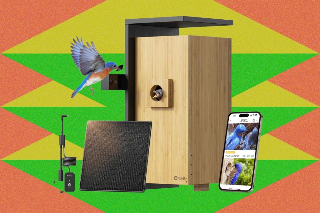 Amazon’s Spring Sale Is Blooming With Smart Bird Feeders