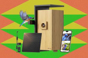 Amazon’s Spring Sale Is Blooming With Smart Bird Feeders