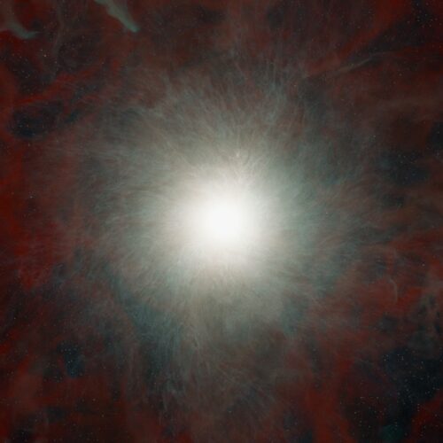 Research roundup: Six cool science stories we almost missed