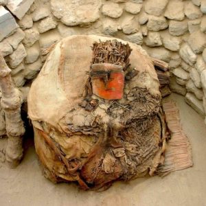 Centuries before the Inca, Peru's wealthy imported parrots from afar