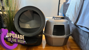 I Switched to Self-Cleaning Litter Boxes in My Home, and I Wish I'd Done It Sooner