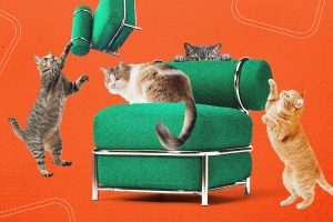 Ikea's New Blow-Up Chair Was Tested by Cats