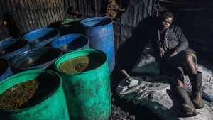 To Strengthen Climate Resilience, Focus on Social Protection