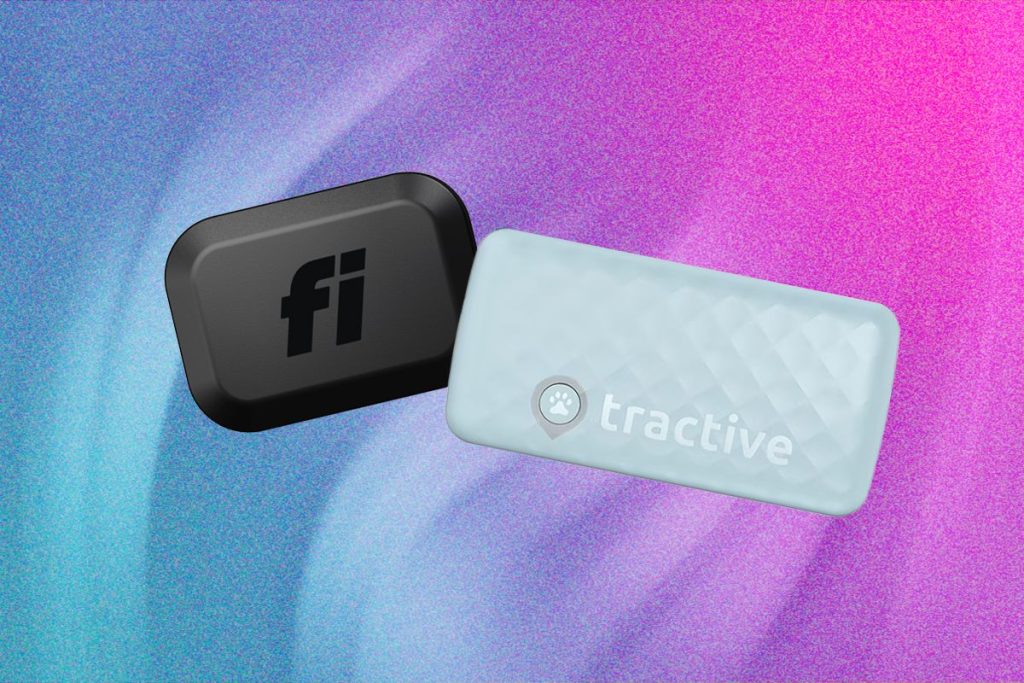 Smart Cat Collars: Which Is Best for Health and GPS Tracking?