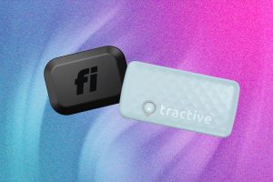 Smart Cat Collars: Which Is Best for Health and GPS Tracking?