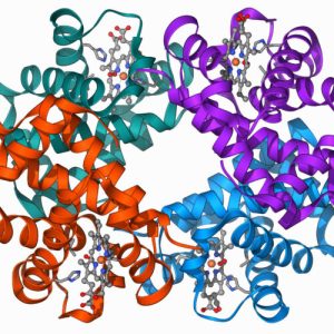 Clinical trial shows gene editing works for β-Thalassaemia, too
