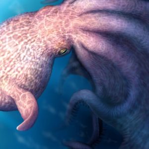 Meet the 19-meter Cretaceous kraken that swam with mosasaurs