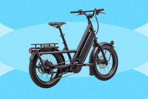 Best Electric Cargo Bikes (2026): Urban Arrow, Lectric, Tern, and More