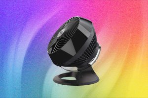 The 11 Best Fans to Buy Before It Gets Hot Again (2026)