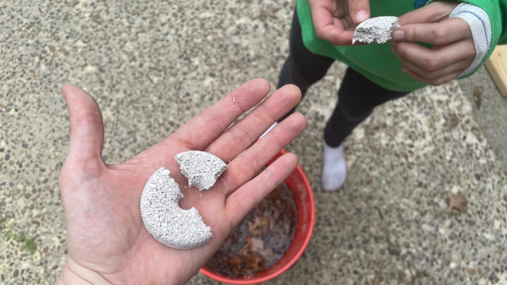 Set Up This 'Mosquito Death Bucket' Now