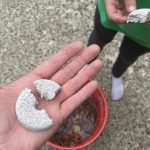 Set Up This 'Mosquito Death Bucket' Now