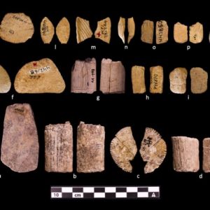 Ice Age dice show early Native Americans may have understood probability