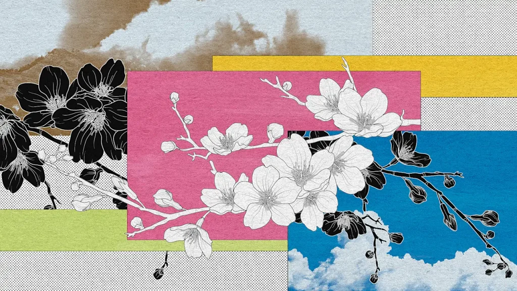 Japan’s beautiful cherry blossoms are facing an ugly threat