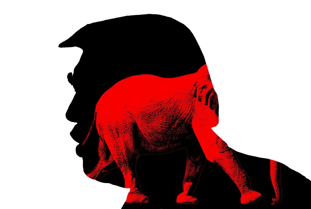 MAGA Is Starting to Look Beyond Trump