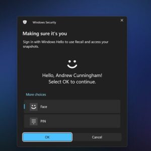 "TotalRecall Reloaded" tool finds a side entrance to Windows 11's Recall database
