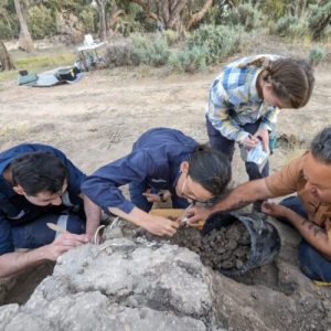 Australian Aboriginals cared for a dingo's grave for decades