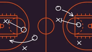 What WNBA players have in the league’s 30th season