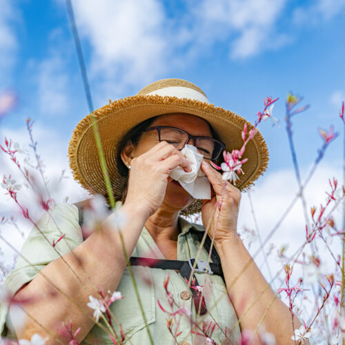 How climate change makes your allergies worse