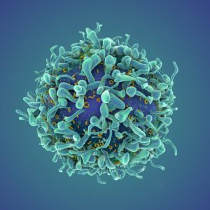 A revolutionary cancer treatment could transform autoimmune disease