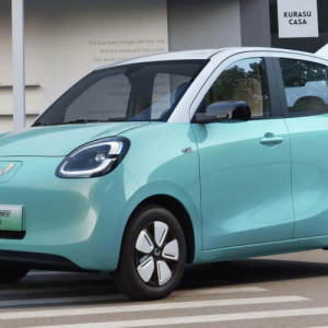 There's a lot of hype about Chinese EVs—is any of it true?