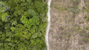 The Right Incentives for Climate Action