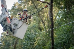 How are utilities prepping for the 2026 hurricane season?