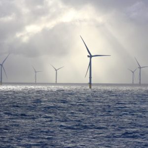 Trump admin abandons fight against wind energy as clean energy output surges