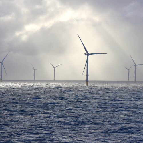 Trump admin abandons fight against wind energy as clean energy output surges