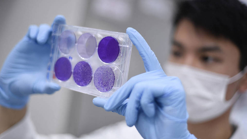 Global Health Reform Must Bolster Innovation