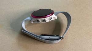 Yes, You Can Put Your Watch and Fitbit Air on the Same Band (but You May Not Want To)