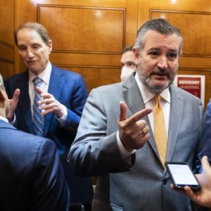 Ted Cruz and Ron Wyden try to fight censorship with bipartisan JAWBONE Act