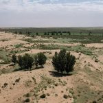 The Global Land Agenda’s Moment of Truth