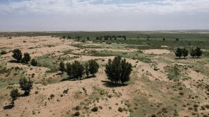 The Global Land Agenda’s Moment of Truth