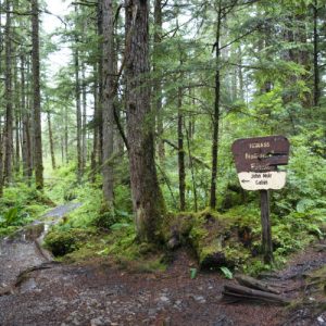Dismantling the Roadless Rule threatens to disrupt wildlife and water in US