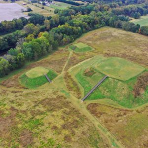 Traders brought Central American cacao to Georgia 1,000 years ago