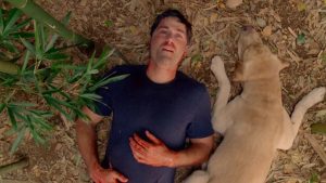 If You Loved 'Lost,' There's One Movie You Need to Watch Next