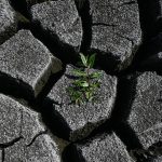 The Strategic Asset Europe Has Overlooked