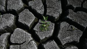 The Strategic Asset Europe Has Overlooked